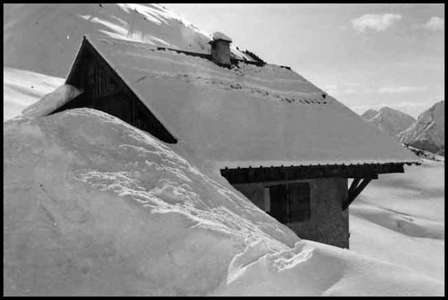 Hibernation en hiver - Cliquez pour zoomer